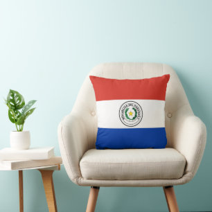 Paraguay flag cushion