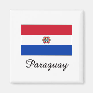 Paraguay Flag Design Magnet