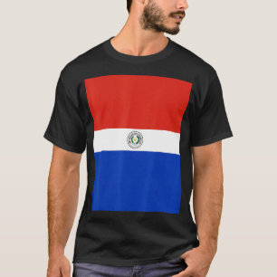 Paraguay Flag Souvenir Heritage Travel T-Shirt