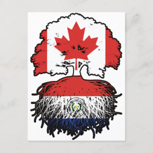 Paraguay Paraguayan Canadian Canada Tree Roots Postcard