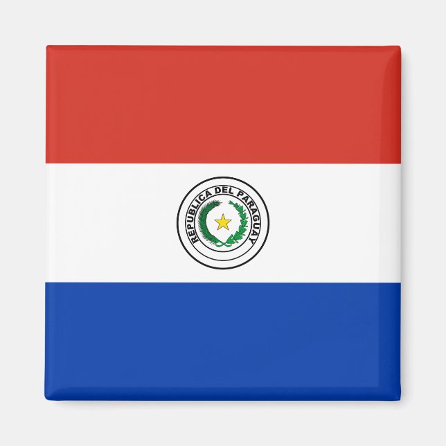 Paraguay (Paraguayan)  Flag Magnet (Front)