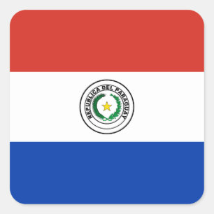 Paraguay (Paraguayan) Flag Square Sticker