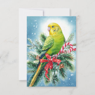 Parakeet and Candy Cane Christmas Card
