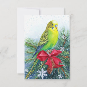 Parakeet and Christmas Bow Christmas Card