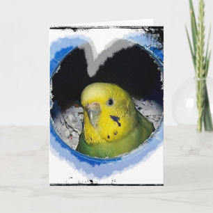 Parakeet Bird Heart Greeting Card