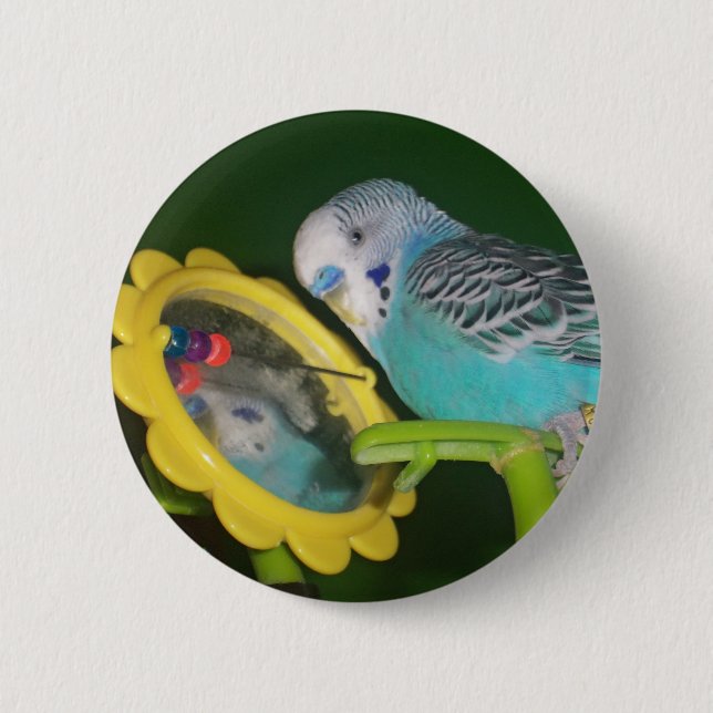 Parakeet Bird in the Mirror Favourite Pet Button! 6 Cm Round Badge (Front)