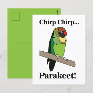 Parakeet Bird  Postcard