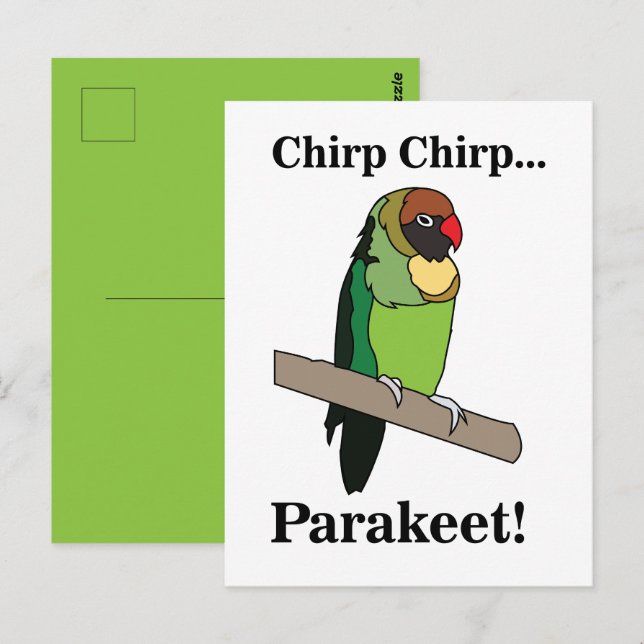 Parakeet Bird  Postcard (Front/Back)