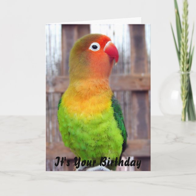 Parakeet Birthday card (Front)
