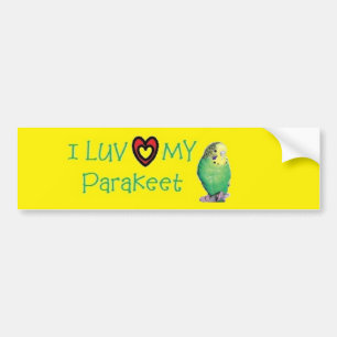 Parakeet Bumper Sticker