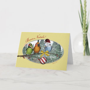 Parakeet Buon Natale Italian Christmas Card