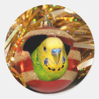 Parakeet Christmas Classic Round Sticker