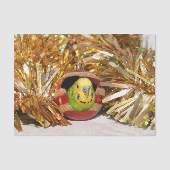 Parakeet Christmas Tissue Paper (Front)