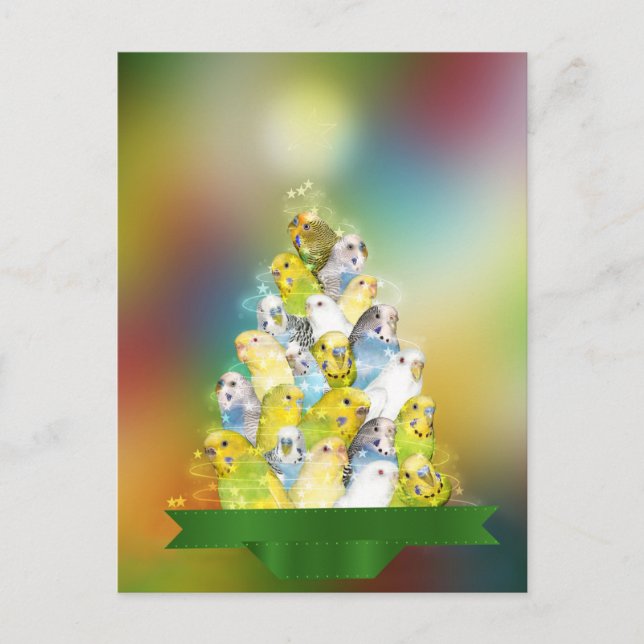 Parakeet Christmas tree Holiday Postcard (Front)