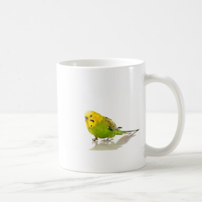 parakeet, coffee mug (Right)