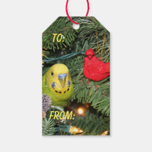 Parakeet in a Christmas tree Gift Tags