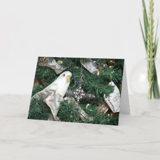 Parakeet in a Christmas tree Holiday Card