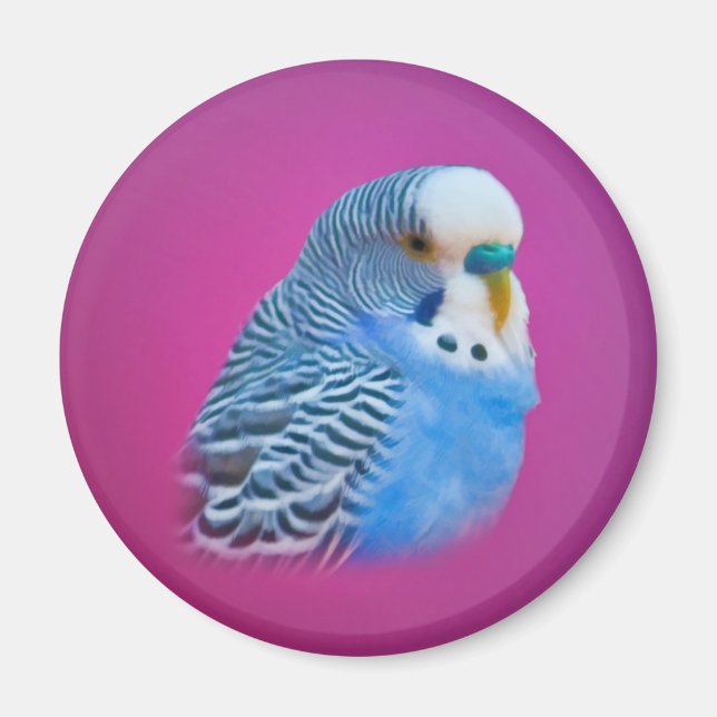 Parakeet Magnet (Front)