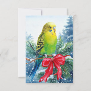 Parakeet on Pine Branch and Christmas Ribbon Thank You Card