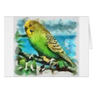 Parakeet on the Island