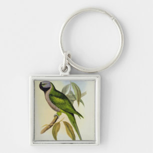 Parakeet: Palaeornis Derbianus, c.1850 Key Ring
