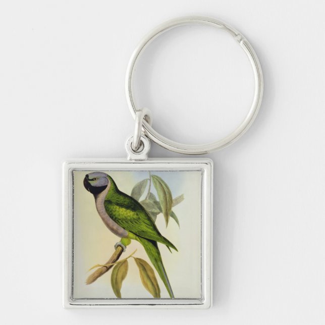 Parakeet: Palaeornis Derbianus, c.1850 Key Ring (Front)