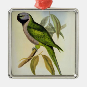 Parakeet: Palaeornis Derbianus, c.1850 Metal Tree Decoration