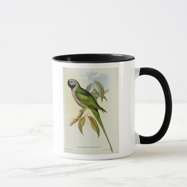 Parakeet: Palaeornis Derbianus, c.1850 Mug (Right)