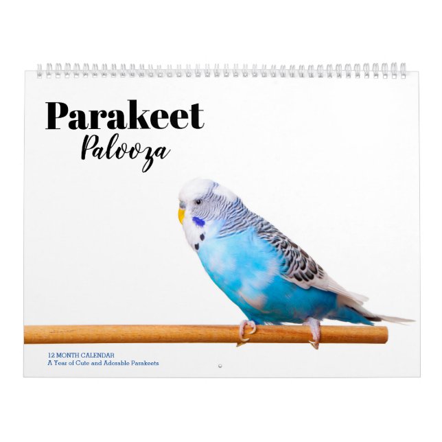 Parakeet Palooza Calendar (Cover)