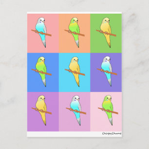 Parakeet Rainbow Rectangles Postcard