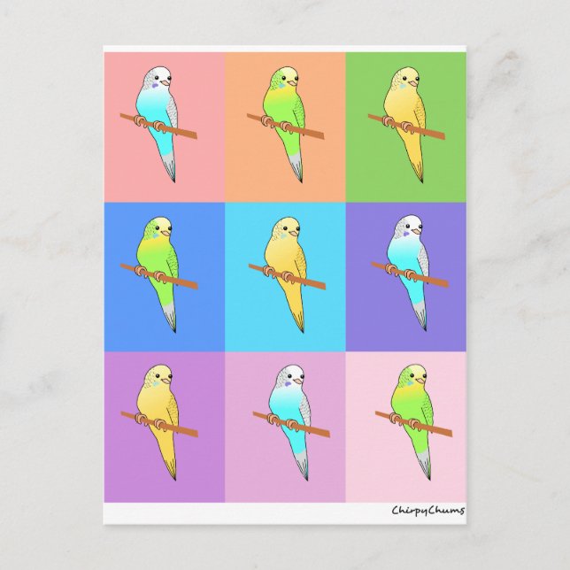 Parakeet Rainbow Rectangles Postcard (Front)