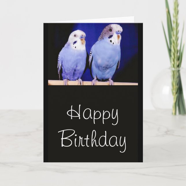 Parakeets (Budgies) Happy Birthday Greeting Card (Front)