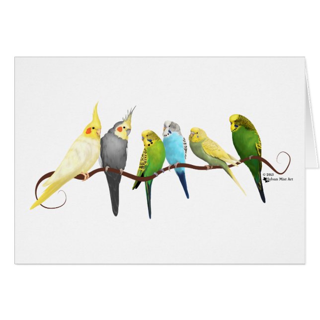 Parakeets & Cockatiels! (Front Horizontal)