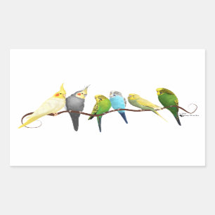 Parakeets & Cockatiels! Rectangular Sticker