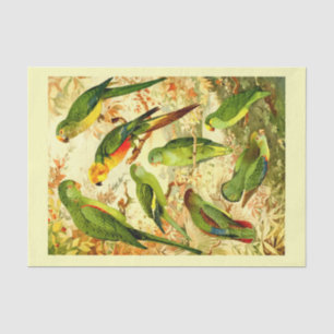 Parakeets, Decoupage Tissue Paper