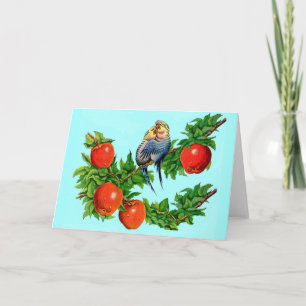 parakeets in love card