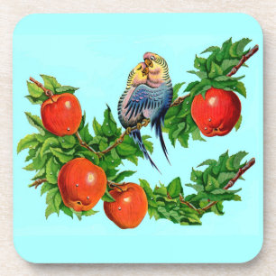 parakeets in love coaster