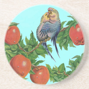 parakeets in love coaster