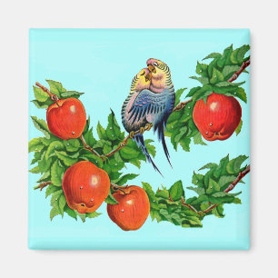 parakeets in love magnet