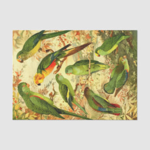 Parakeets tissue paper