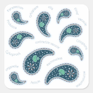 Paramecia Paisley Biology Science MIcrobe Dark Square Sticker