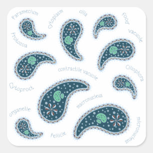 Paramecia Paisley Biology Science MIcrobe Dark Square Sticker