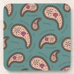 Paramecia Paisley Biology Science Teal Coaster