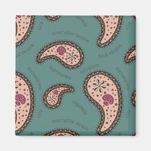 Paramecia Paisley Personalizable Biology Teal Magnet