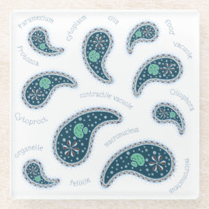 Paramecia Paisley Protozoan Biology Science Glass Coaster