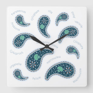 Paramecia Paisley Protozoan Biology Science Light Square Wall Clock