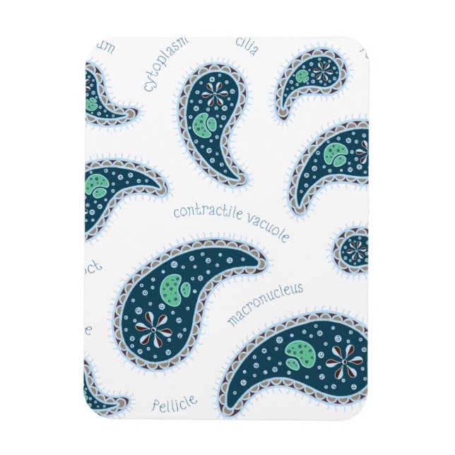 Paramecia Paisley Protozoan Biology Science Magnet (Vertical)
