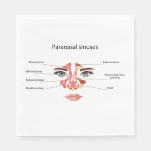 Paranasal sinuses napkin