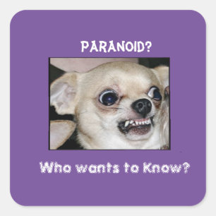 Paranoid Chihuahua stuck on Barking Anxiety Square Sticker