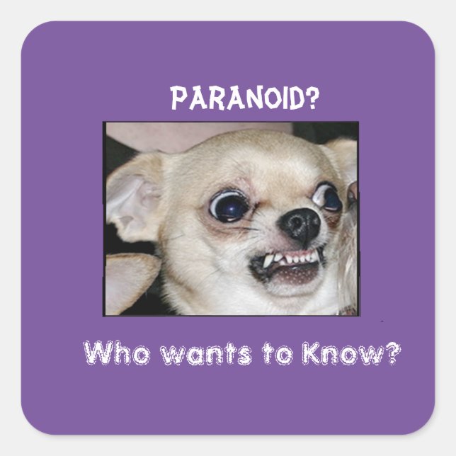 Paranoid Chihuahua stuck on Barking Anxiety Square Sticker (Front)